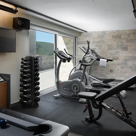 Villa Vlastelini 2 Labin (Istria)